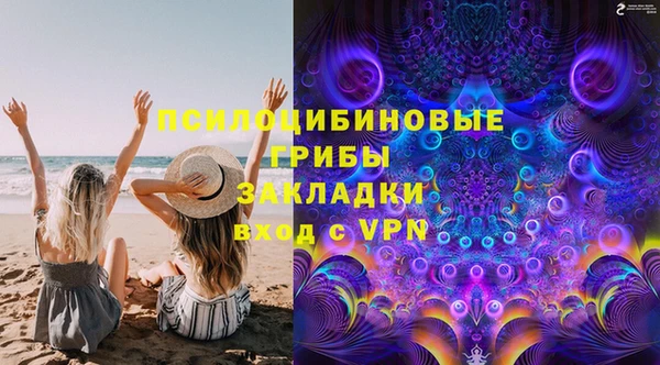 Альфа ПВП Аркадак