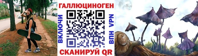 Галлюциногенные грибы GOLDEN TEACHER  где купить наркотик  Исилькуль 